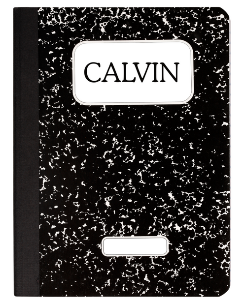 Calvin's Journal